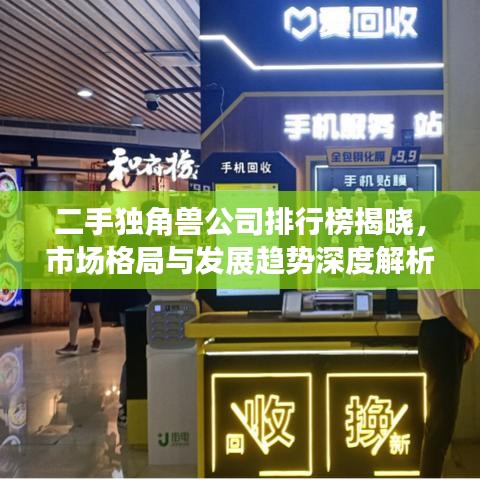 二手獨(dú)角獸公司排行榜揭曉，市場(chǎng)格局與發(fā)展趨勢(shì)深度解析