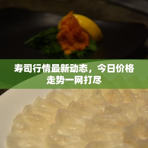壽司行情最新動(dòng)態(tài)，今日價(jià)格走勢(shì)一網(wǎng)打盡