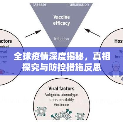 全球疫情深度揭秘，真相探究與防控措施反思