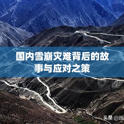 國內(nèi)雪崩災(zāi)難背后的故事與應(yīng)對(duì)之策