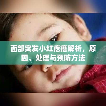 面部突發(fā)小紅疙瘩解析，原因、處理與預(yù)防方法