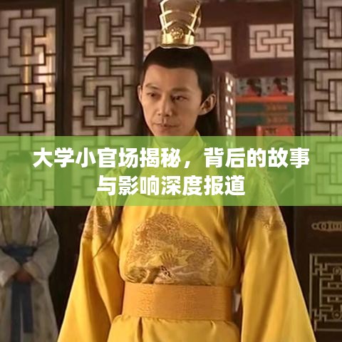 大學(xué)小官場揭秘，背后的故事與影響深度報道