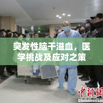 突發(fā)性腦干溢血，醫(yī)學(xué)挑戰(zhàn)及應(yīng)對之策