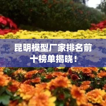 昆明模型廠家排名前十榜單揭曉！