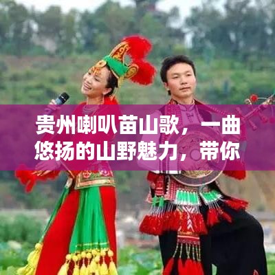 貴州喇叭苗山歌，一曲悠揚(yáng)的山野魅力，帶你探尋其獨(dú)特韻味