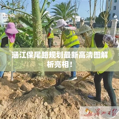 涵江保尾路規(guī)劃最新高清圖解析亮相！