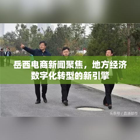 岳西電商新聞聚焦，地方經(jīng)濟(jì)數(shù)字化轉(zhuǎn)型的新引擎