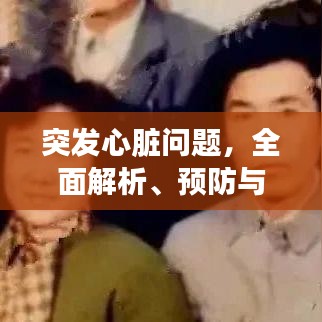 突發(fā)心臟問(wèn)題，全面解析、預(yù)防與應(yīng)急處理方案