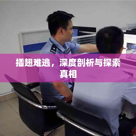 插翅難逃，深度剖析與探索真相