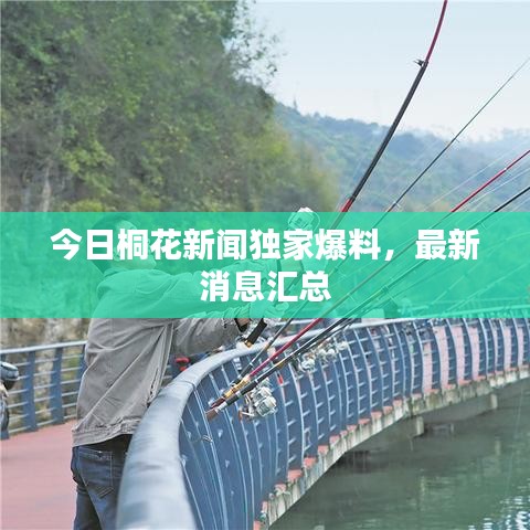 今日桐花新聞獨(dú)家爆料，最新消息匯總