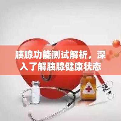 胰腺功能測試解析，深入了解胰腺健康狀態(tài)