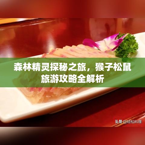 森林精靈探秘之旅，猴子松鼠旅游攻略全解析