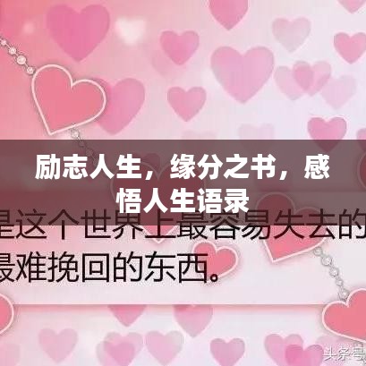 勵志人生，緣分之書，感悟人生語錄