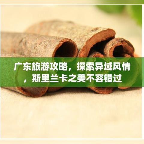 廣東旅游攻略，探索異域風(fēng)情，斯里蘭卡之美不容錯過