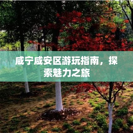 咸寧咸安區(qū)游玩指南，探索魅力之旅