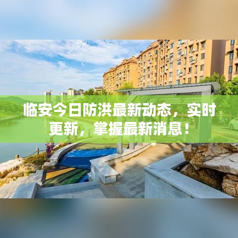 臨安今日防洪最新動態(tài)，實時更新，掌握最新消息！