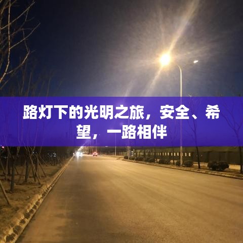 路燈下的光明之旅，安全、希望，一路相伴