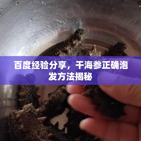 百度經(jīng)驗(yàn)分享，干海參正確泡發(fā)方法揭秘