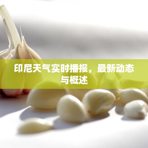 印尼天氣實時播報，最新動態(tài)與概述