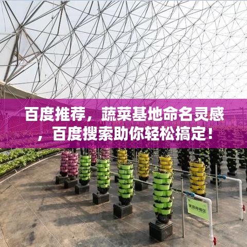 百度推薦，蔬菜基地命名靈感，百度搜索助你輕松搞定！
