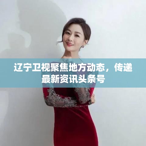 遼寧衛(wèi)視聚焦地方動(dòng)態(tài)，傳遞最新資訊頭條號(hào)