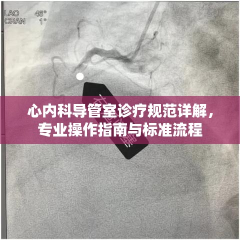 心內(nèi)科導(dǎo)管室診療規(guī)范詳解，專(zhuān)業(yè)操作指南與標(biāo)準(zhǔn)流程