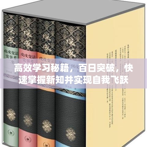 高效學(xué)習(xí)秘籍，百日突破，快速掌握新知并實(shí)現(xiàn)自我飛躍