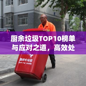 廚余垃圾TOP10榜單與應對之道，高效處理策略揭秘