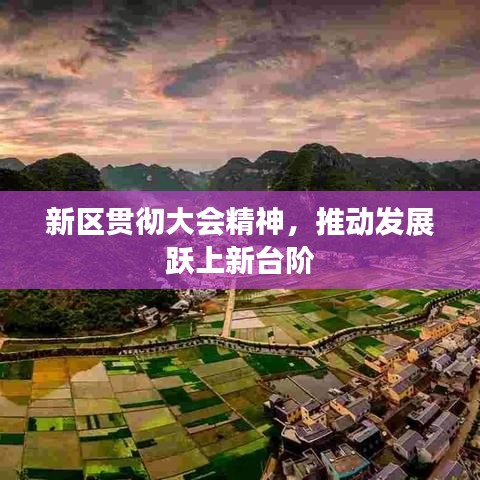 新區(qū)貫徹大會精神，推動發(fā)展躍上新臺階
