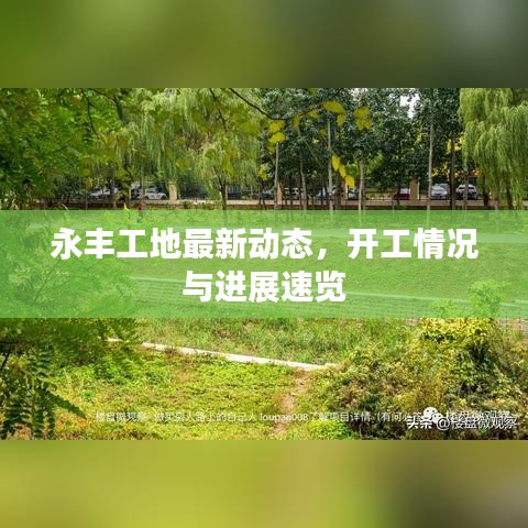 永豐工地最新動態(tài)，開工情況與進展速覽