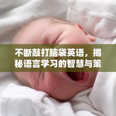 不斷敲打腦袋英語，揭秘語言學(xué)習(xí)的智慧與策略