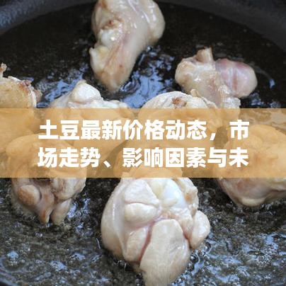 土豆最新價(jià)格動(dòng)態(tài)，市場(chǎng)走勢(shì)、影響因素與未來(lái)預(yù)測(cè)分析