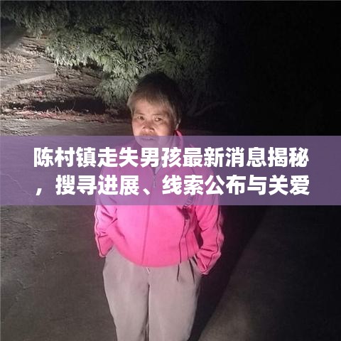陳村鎮(zhèn)走失男孩最新消息揭秘，搜尋進(jìn)展、線索公布與關(guān)愛(ài)行動(dòng)啟動(dòng)