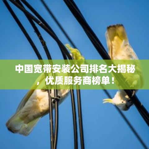 中國寬帶安裝公司排名大揭秘，優(yōu)質(zhì)服務(wù)商榜單！