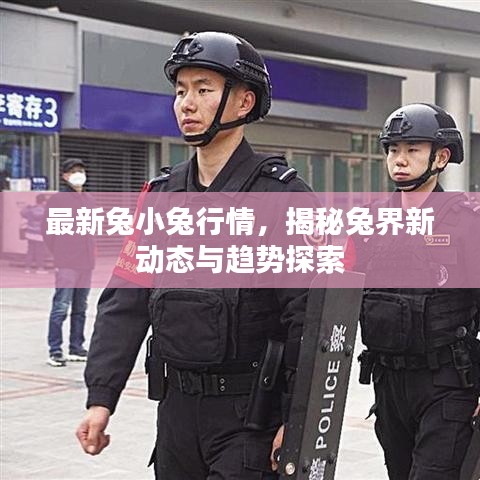 最新兔小兔行情，揭秘兔界新動(dòng)態(tài)與趨勢(shì)探索
