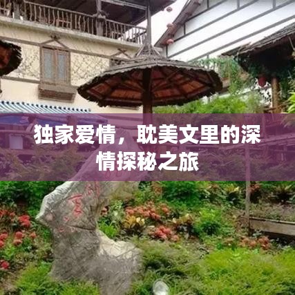 獨(dú)家愛(ài)情，耽美文里的深情探秘之旅