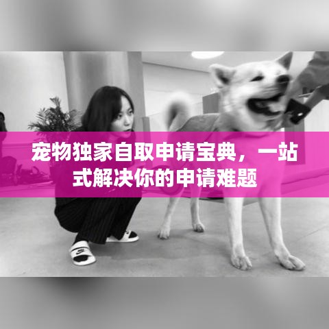 寵物獨(dú)家自取申請寶典，一站式解決你的申請難題