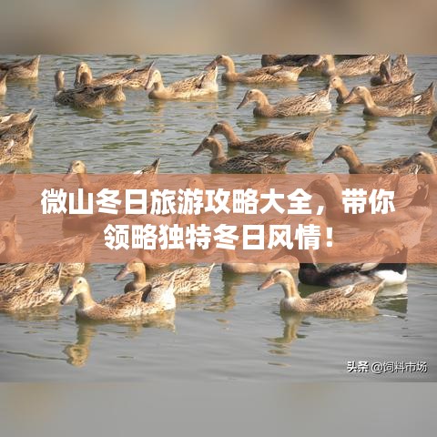 微山冬日旅游攻略大全，帶你領(lǐng)略獨(dú)特冬日風(fēng)情！