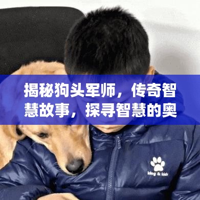 揭秘狗頭軍師，傳奇智慧故事，探尋智慧的奧秘