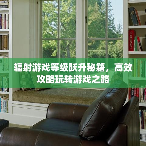 輻射游戲等級(jí)躍升秘籍，高效攻略玩轉(zhuǎn)游戲之路