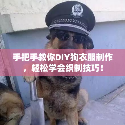 手把手教你DIY狗衣服制作，輕松學(xué)會織制技巧！