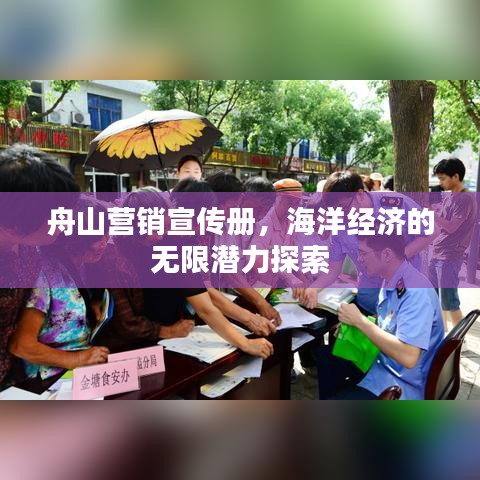 舟山營(yíng)銷宣傳冊(cè)，海洋經(jīng)濟(jì)的無限潛力探索