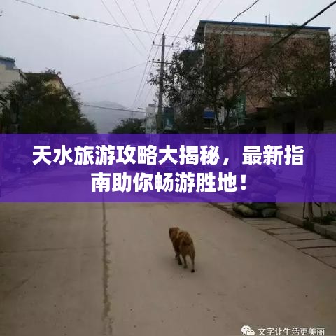 天水旅游攻略大揭秘，最新指南助你暢游勝地！