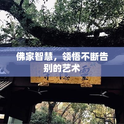 佛家智慧，領(lǐng)悟不斷告別的藝術(shù)