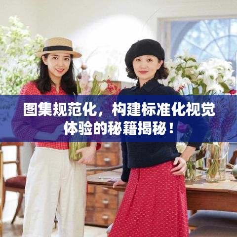 圖集規(guī)范化，構(gòu)建標準化視覺體驗的秘籍揭秘！