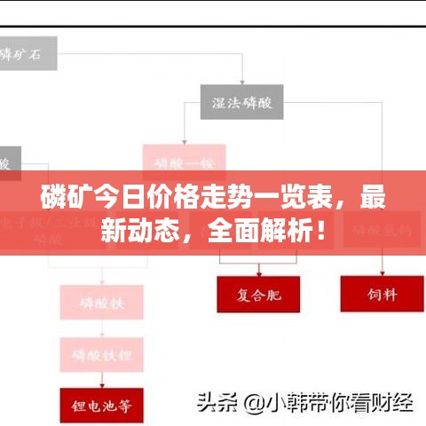 磷礦今日價(jià)格走勢(shì)一覽表，最新動(dòng)態(tài)，全面解析！