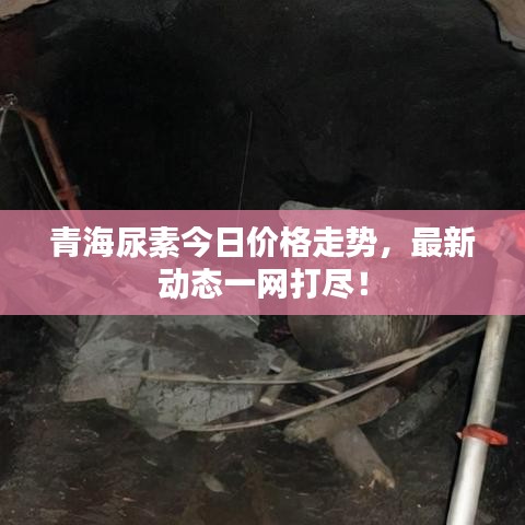 青海尿素今日價格走勢，最新動態(tài)一網(wǎng)打盡！