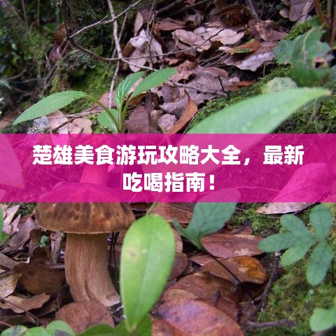 楚雄美食游玩攻略大全，最新吃喝指南！