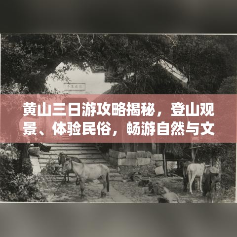 黃山三日游攻略揭秘，登山觀景、體驗民俗，暢游自然與文化的盛宴！