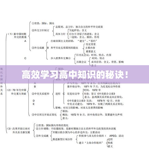 高效學(xué)習(xí)高中知識的秘訣！